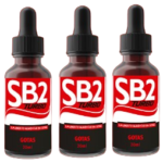 SB2 Turbo 3